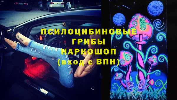 стаф Алексин