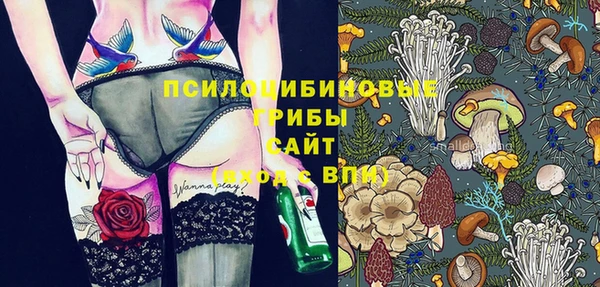 стаф Алексин
