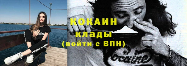 стаф Алексин