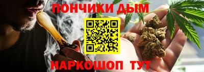 хмурый Сланцы
