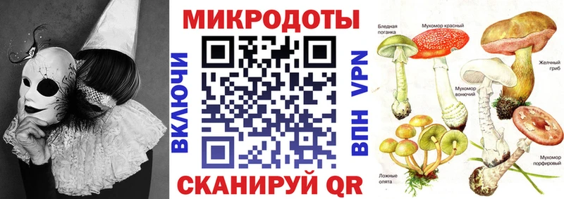 ссылка на мегу ССЫЛКА  Саров  Галлюциногенные грибы GOLDEN TEACHER 