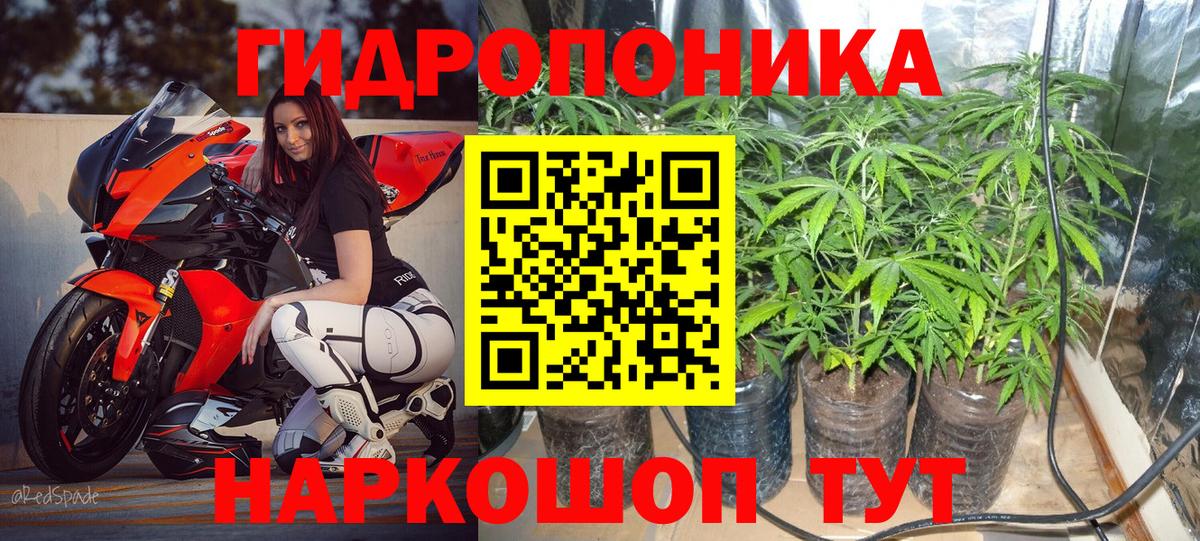 Бошки марихуана Bruce Banner  Бошки марихуана MAZAR  Бошки марихуана LSD WEED  Саров  Вход с VPN 